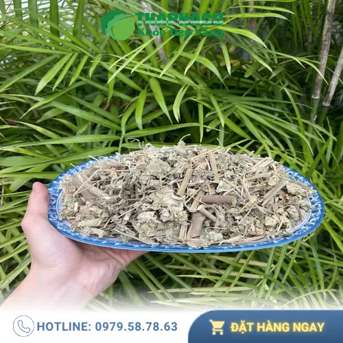 Pha trà cối xay đúng cách tại nhà