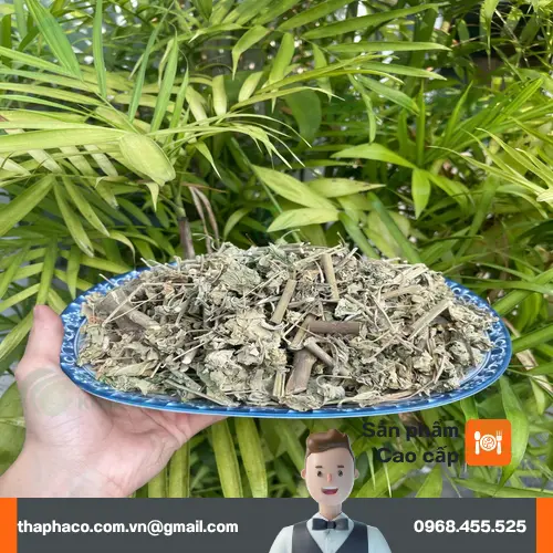 Kho chứa cây cối xay khô của THAPHACO