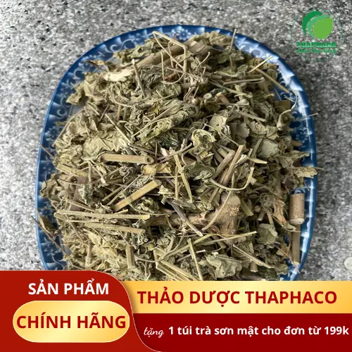 Những nhánh cây cối xay tươi được thu hoạch và sơ chế cẩn thận, đảm bảo chất lượng dược liệu.