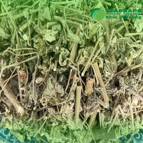 Lợi ích sức khỏe từ trà cối xay THAPHACO