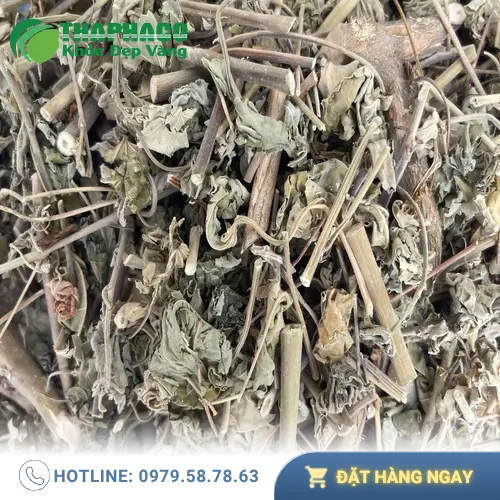 Địa chỉ THAPHACO tại TP.HCM