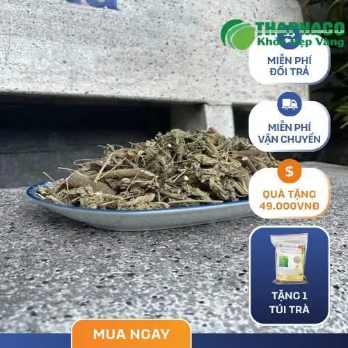 Trà cối xay THAPHACO sẵn sàng đến tay người tiêu dùng