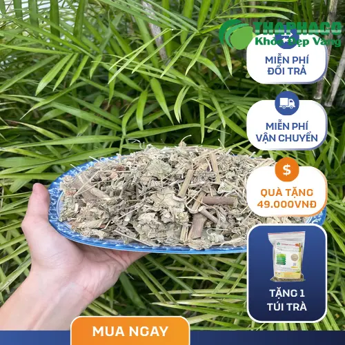 Một gói sản phẩm cây cối xay sấy khô của THAPHACO, với bao bì sạch sẽ, đảm bảo chất lượng.
