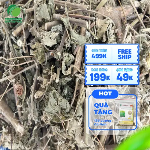 Cách dùng và bảo quản cây cối xay sấy khô đúng cách