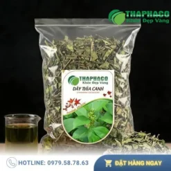 1kg Dây thìa canh giá bao nhiêu? Mua ở đâu uy tín?