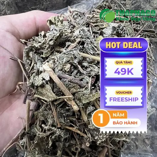 Hình ảnh chè dây khô chất lượng cao của THAPHACO