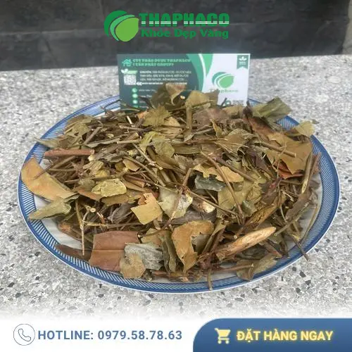 Chè Vằng THAPHACO nguyên chất - Lợi sữa cho mẹ sau sinh