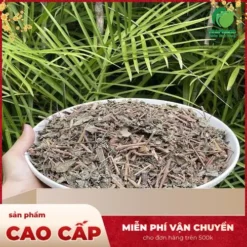 Chè Dây THAPHACO: Chuyên gia giải đáp tác dụng và giá trị vượt trội