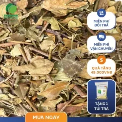 Chè Vằng THAPHACO: Khám Phá Lợi Ích & Nơi Mua Uy Tín