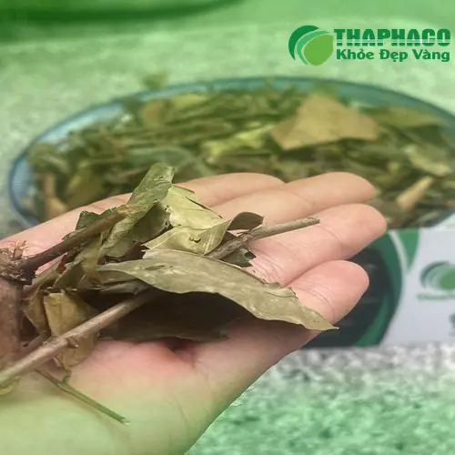 Hình ảnh chè vằng khô nguyên chất THAPHACO