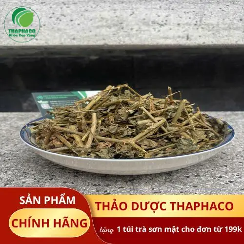 Cà gai leo khô chất lượng cao THAPHACO