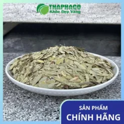 Phan Tả Diệp THAPHACO: Mua 1 Tặng 1 Trà Sơn Mật - Review Chi Tiết