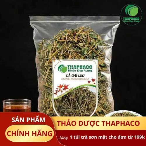 Cà gai leo khô chất lượng cao từ THAPHACO