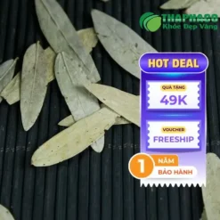 Phan Tả Diệp THAPHACO: Lựa Chọn Uy Tín Tại TP.HCM – Đánh Giá Dược Sĩ