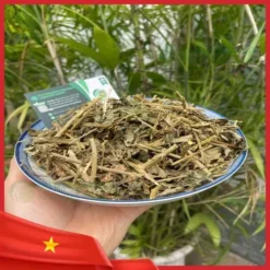 Địa Chỉ Bán Sỉ Cà Gai Leo Chất Lượng Cao tại TP.HCM | THAPHACO