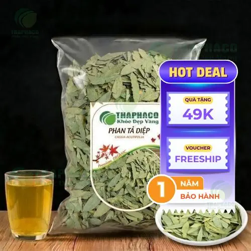 Hình ảnh minh họa các loại cây thảo dược tự nhiên