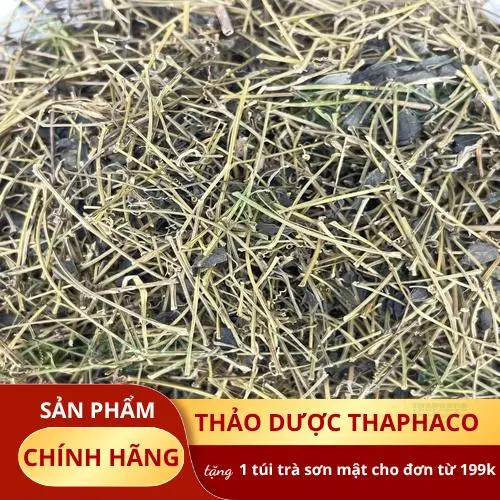 Giảo cổ lam và cơ địa mỗi người
