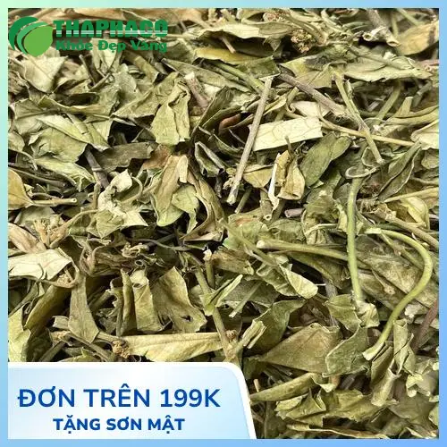 Lá Dây thìa canh khô chất lượng cao