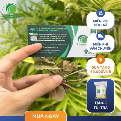 Cách pha chè vằng đúng chuẩn chuyên gia THAPHACO