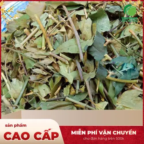 Chè vằng khô THAPHACO được đóng gói cẩn thận
