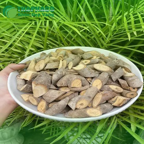 Lợi ích của trà An Xoa đối với sức khỏe gan