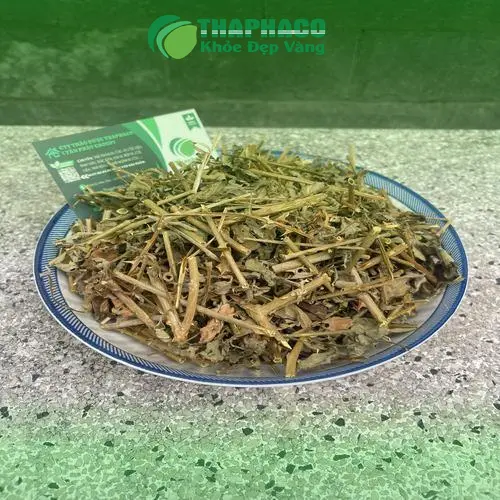 Trà cà gai leo đã pha sẵn, thơm ngon bổ dưỡng