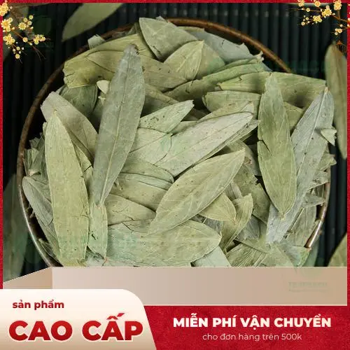 Phan Tả Diệp THAPHACO hỗ trợ tiêu hóa hiệu quả