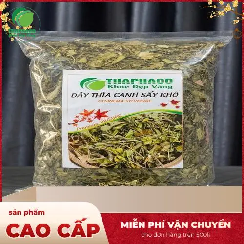 Cơ chế Dây thìa canh giảm đường huyết