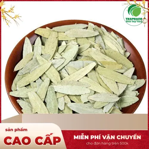 Hình ảnh minh họa quá trình thu hái dược liệu