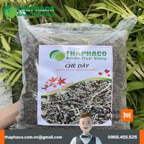 Tách trà chè dây THAPHACO nóng hổi với màu sắc tự nhiên, hấp dẫn