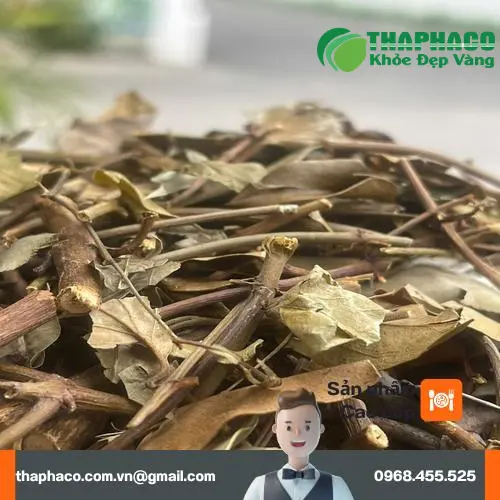 Ly trà chè vằng thơm ngon, bổ dưỡng