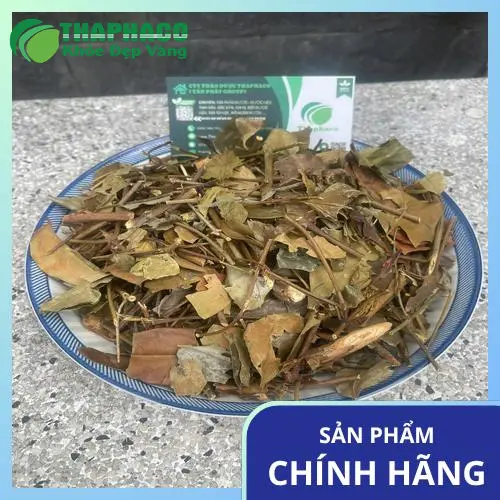 Đóng gói chè vằng THAPHACO chuẩn chất lượng