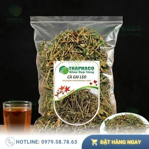 Bảng hướng dẫn liều lượng sử dụng cà gai leo an toàn