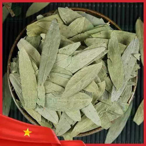 Chương trình Mua 1 Tặng 1 Phan Tả Diệp THAPHACO
