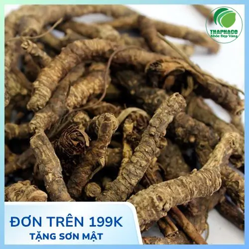 Hoàng Liên sấy khô đa năng trong hỗ trợ sức khỏe