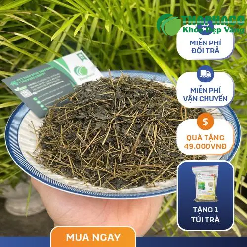 Người dùng sử dụng trà Giảo Cổ Lam để uống hàng ngày