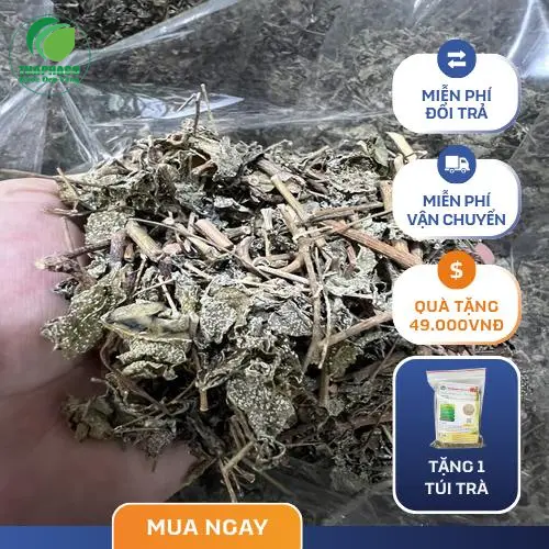 Câu hỏi thường gặp về Chè Dây THAPHACO