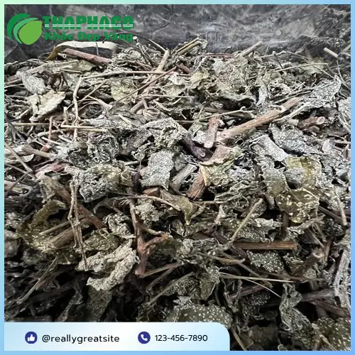 Tách trà chè dây THAPHACO thơm ngon bổ dưỡng