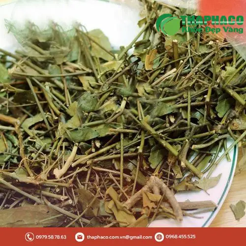 Chè Vằng THAPHACO - Đóng gói tỉ mỉ, giao hàng tận nơi