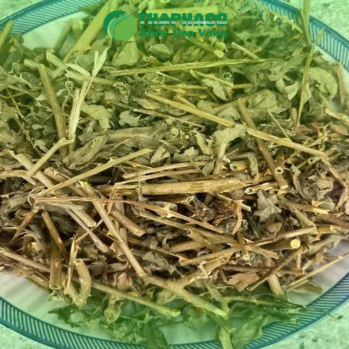 Sản phẩm cà gai leo của Trà Hoa Sấy Khô THAPHACO