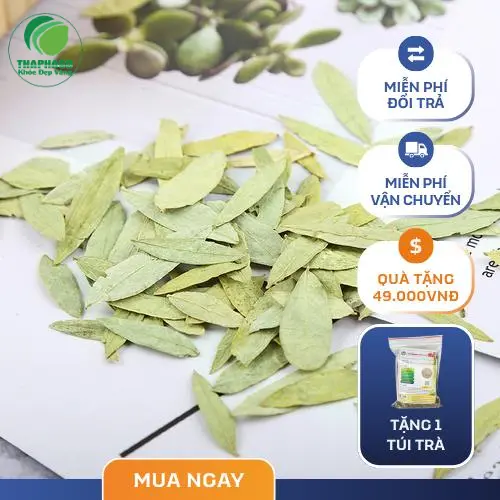 Trà Phan Tả Diệp THAPHACO được pha chế đúng cách