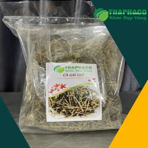 Bảo quản Cà Gai Leo khô đúng cách để giữ chất lượng