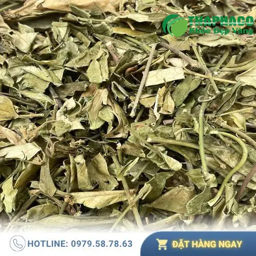 Sản phẩm Dây thìa canh khô THAPHACO