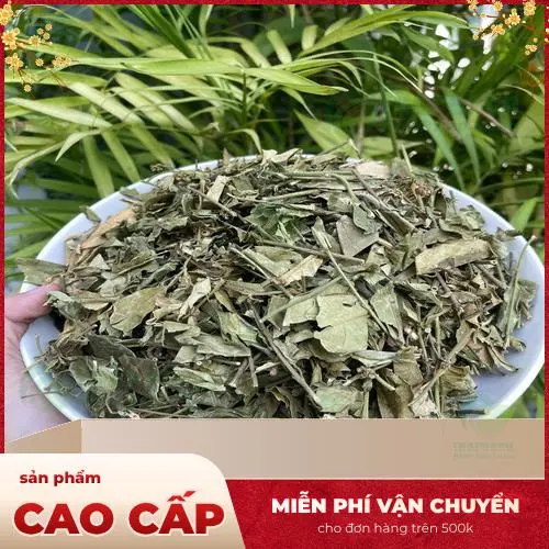Bảo quản Dây Thìa Canh sấy khô đúng cách