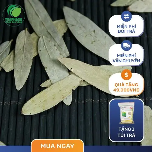 Hình ảnh minh họa các sản phẩm thảo dược THAPHACO