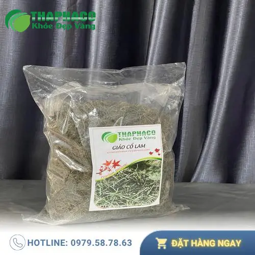 Tối ưu hiệu quả sử dụng giảo cổ lam