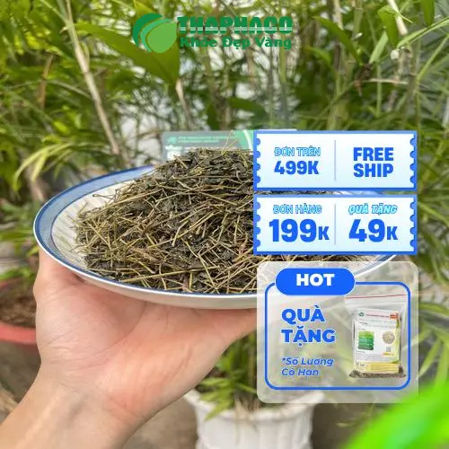 Cách pha trà Giảo cổ lam sấy khô đúng cách