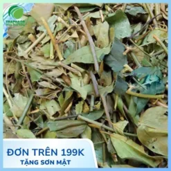 Chè Vằng THAPHACO: Trà Thảo Dược Nguyên Chất & Lợi Sữa