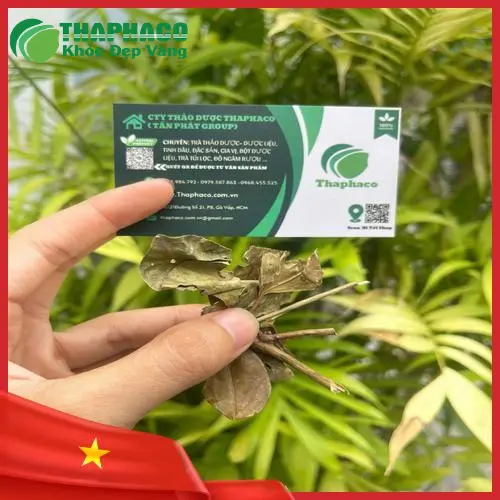 Chè vằng khô nguyên chất THAPHACO