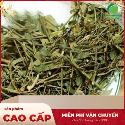 Sản phẩm chè vằng nguyên chất đóng gói tiện lợi của THAPHACO